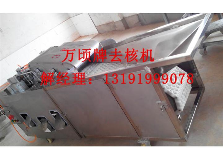 供应 杨梅去核机