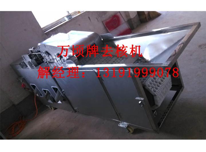 红枣去核机供应